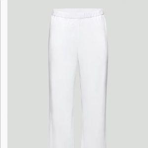 ARITZIA BOARDWALK PANTS